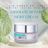 Kem Dưỡng Ẩm Phục Hồi Tái Tạo Da Ban Đêm Cho Mọi Loại Da Swiss Image Absolute Repair Night Cream 50ml