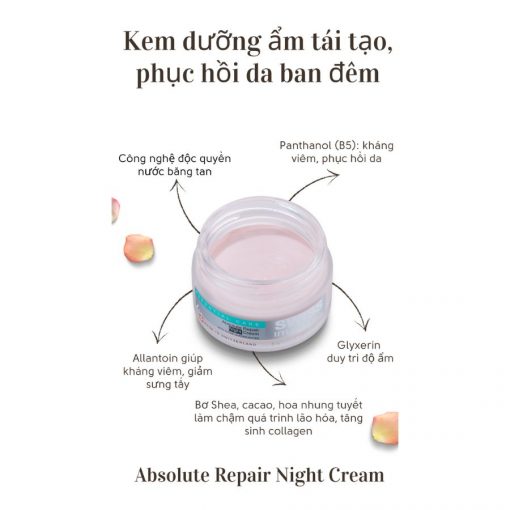 Kem Dưỡng Ẩm Phục Hồi Tái Tạo Da Ban Đêm Cho Mọi Loại Da Swiss Image Absolute Repair Night Cream 50ml