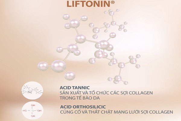 thành phần hoạt tính của liftonin